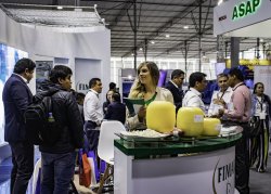 FIBRAS MARINAS S.A. - Perú - 409