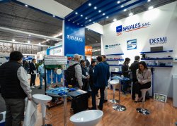 Navales S.A.C. (Perú)