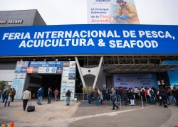 Centro de Exposiciones Jockey